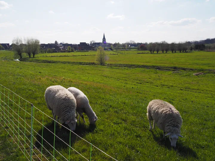 Kalkense Meersen (België)